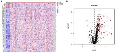 Identification of an Immune-Related Long Noncoding RNA Pairs Model to Predict Survival and Immune Features in Gastric Cancer